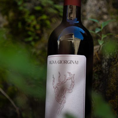 VIGNA GIORGINA_5
