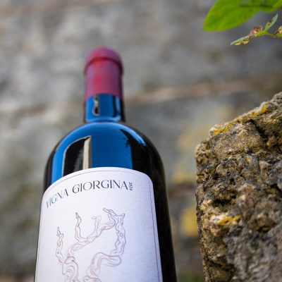 VIGNA GIORGINA_7